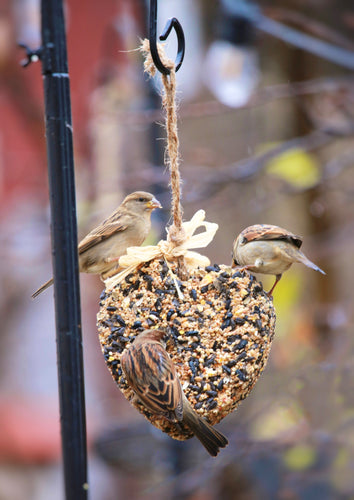 Birdseed Heart - Small