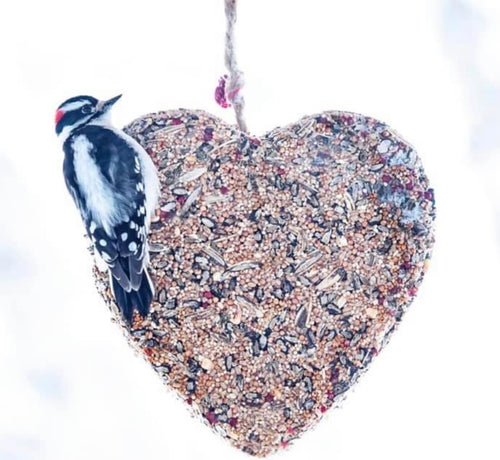 Birdseed Heart - Medium