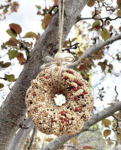 Birdseed Wreath - Mini