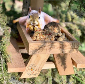 490 Squirrel Picnic Table Feeder