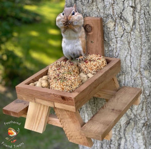 490 Squirrel Picnic Table Feeder